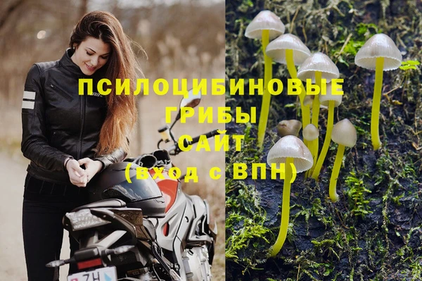 прущая мука Бронницы