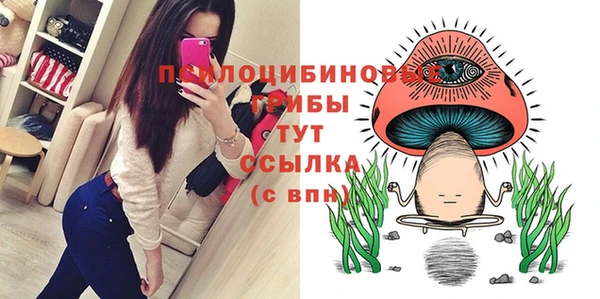 прущая мука Бронницы