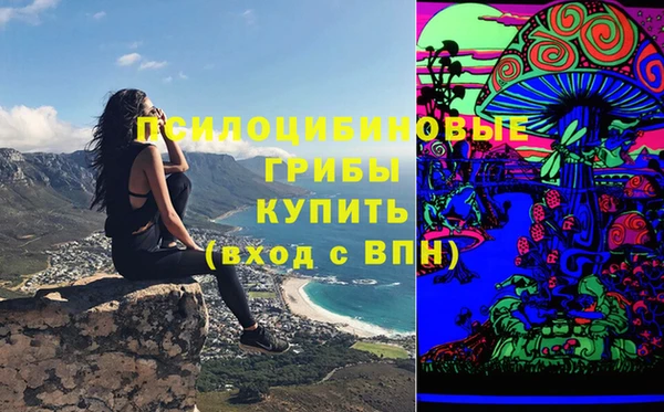 гидропоника Бородино