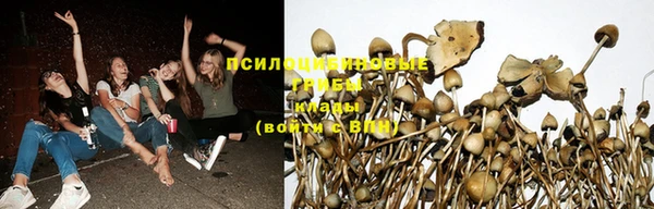 гидропоника Бородино