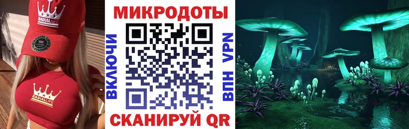 Купить закладки  Выборг  Галлюциногенные грибы прущие грибы 